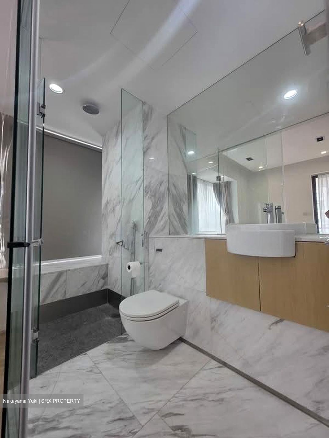 Newton Suites (D11), Apartment #573529211